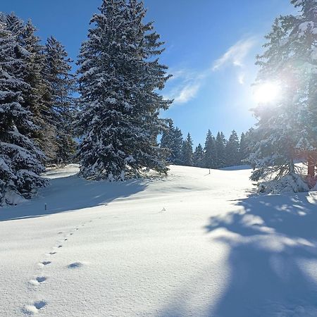 Ferienwohnung Ferien In Der Region Lenzerheide Exterior foto