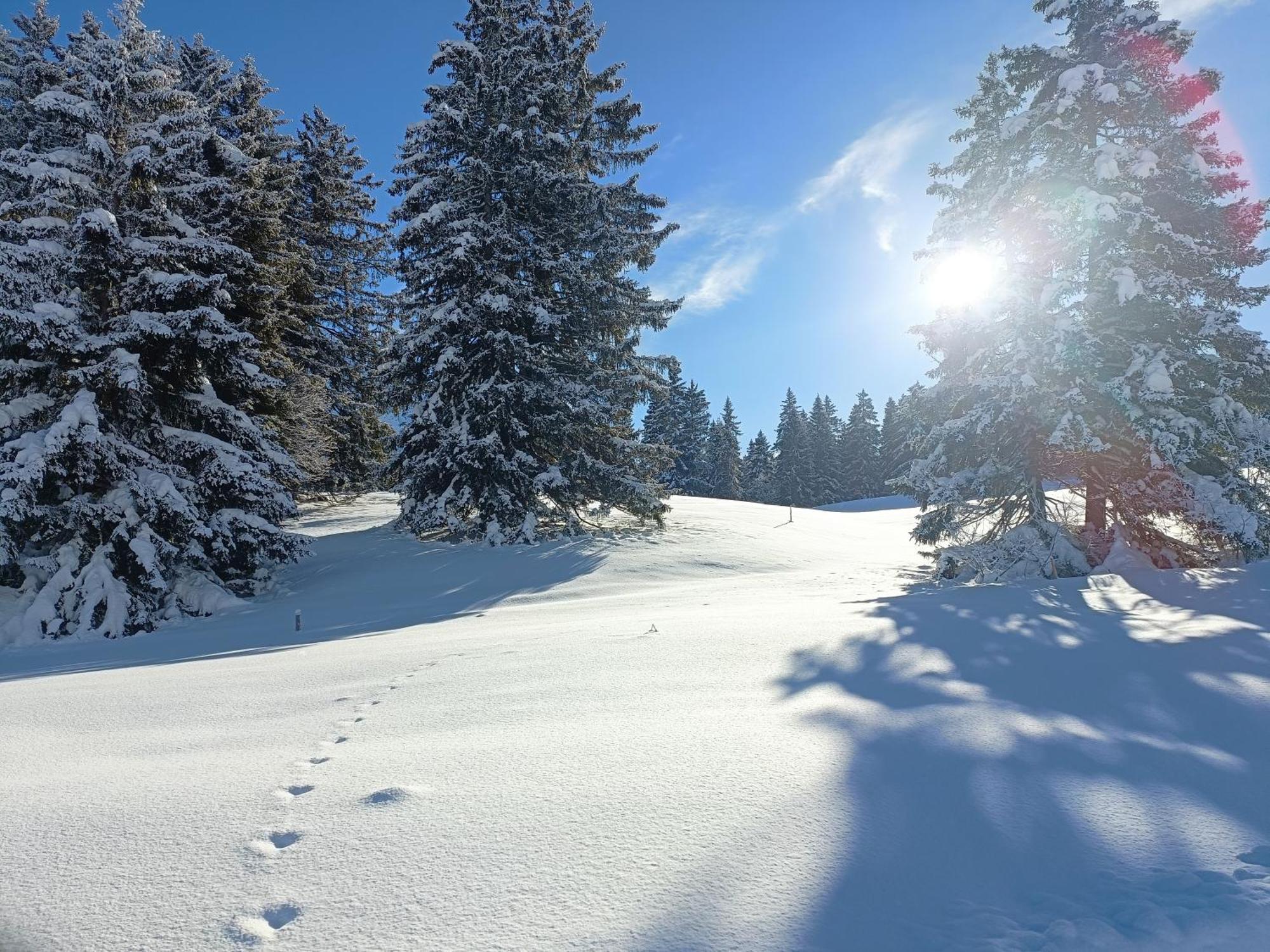 Ferienwohnung Ferien In Der Region Lenzerheide Exterior foto